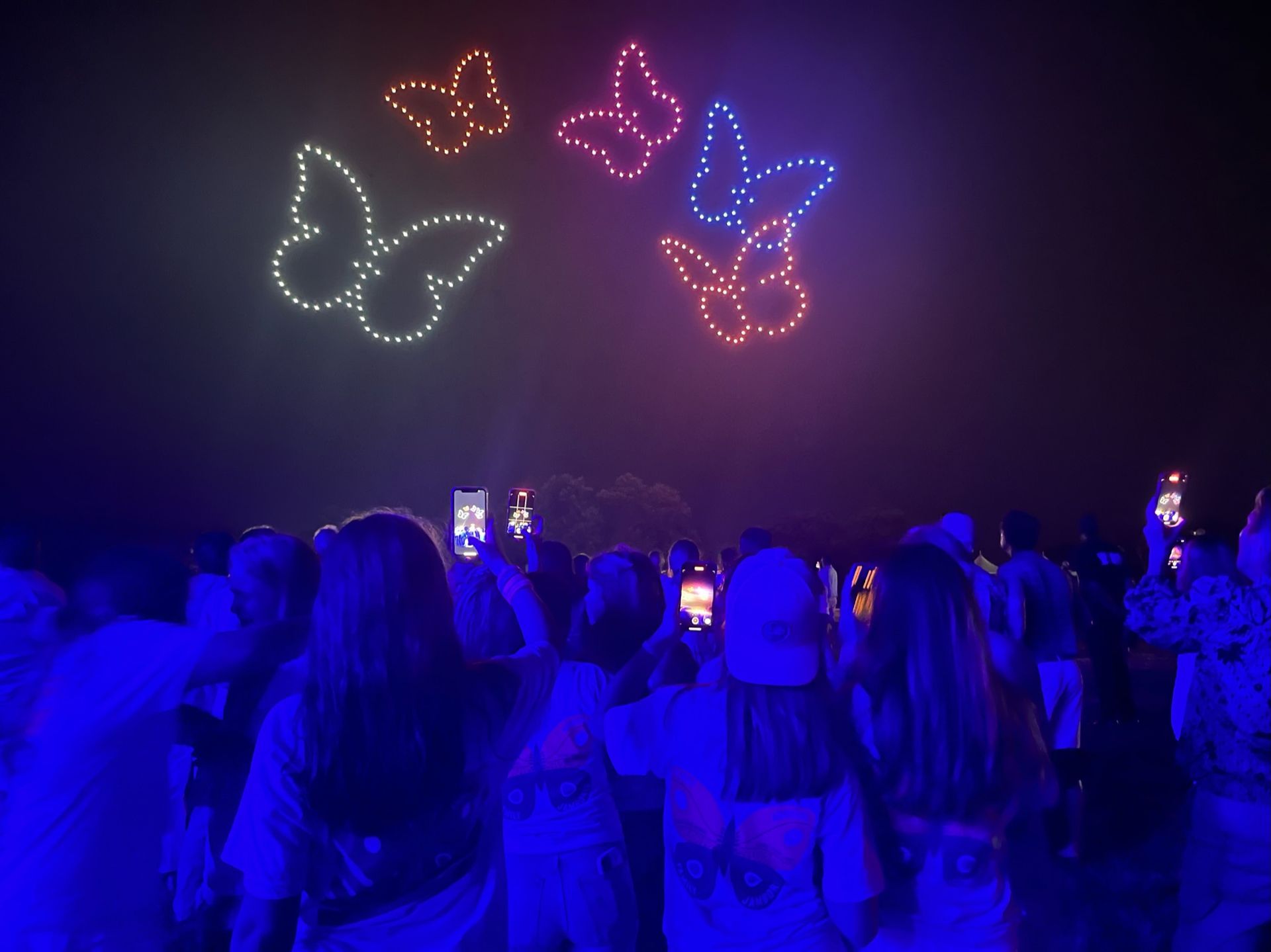 A crowd of people are watching a fireworks display with butterflies flying in the sky.