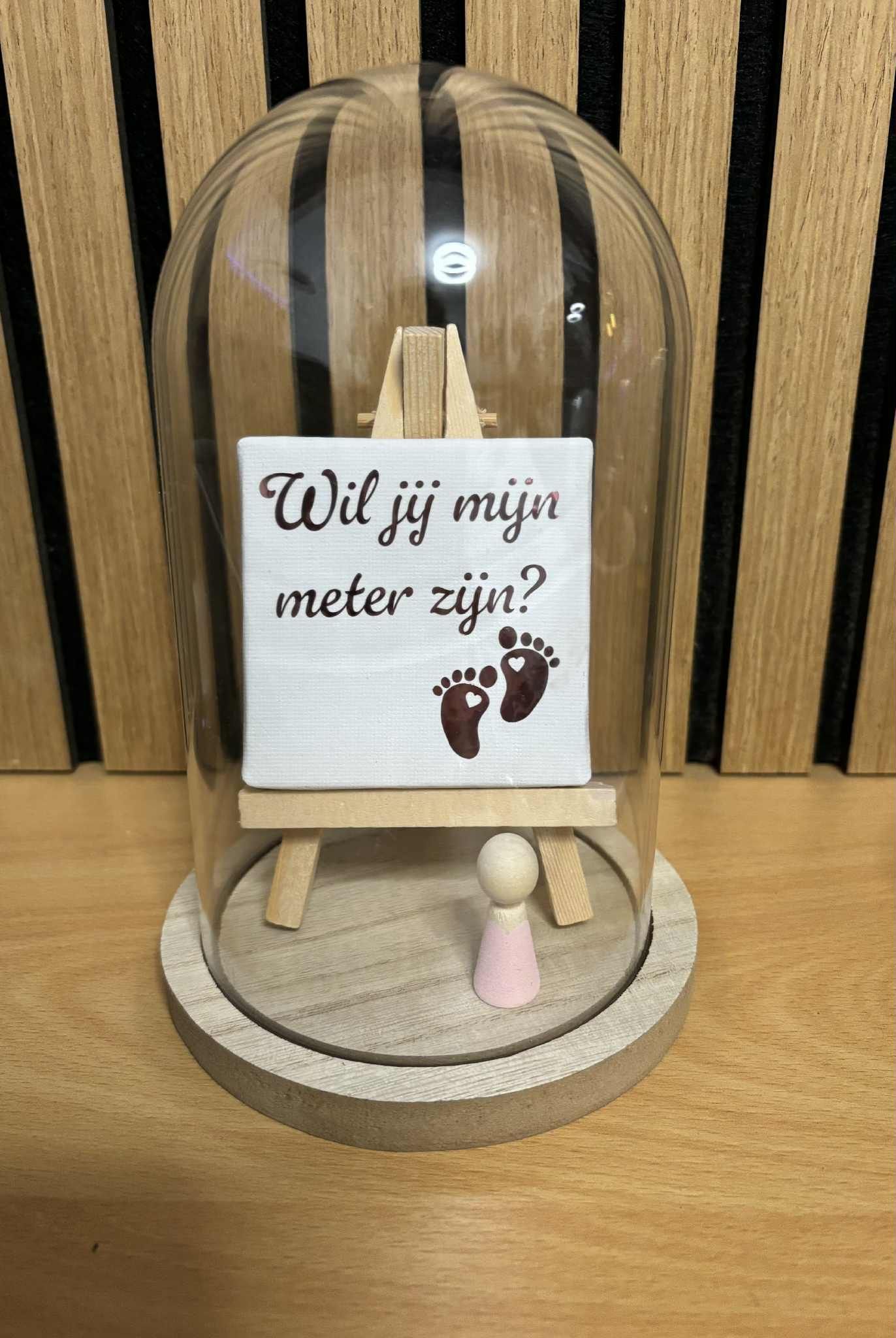 Uniek Cadeau - Wil jij mijn meter zijn?