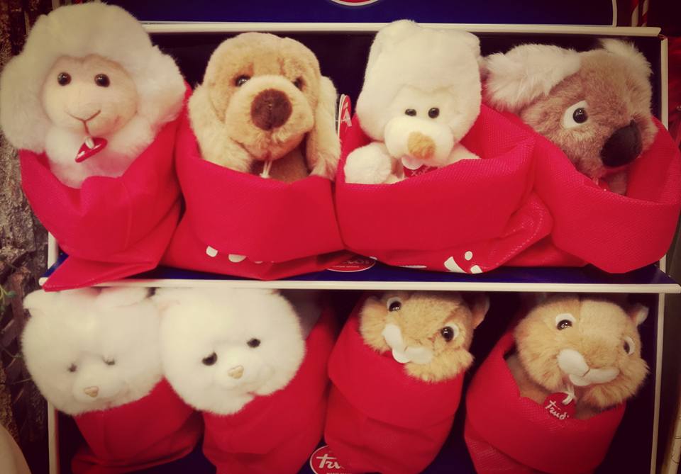 fioraio pensieri fioriti pescara