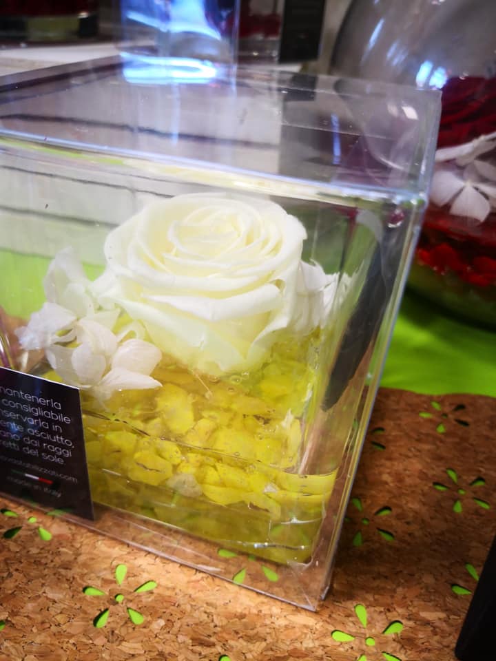 rosa bianca stabilizzata