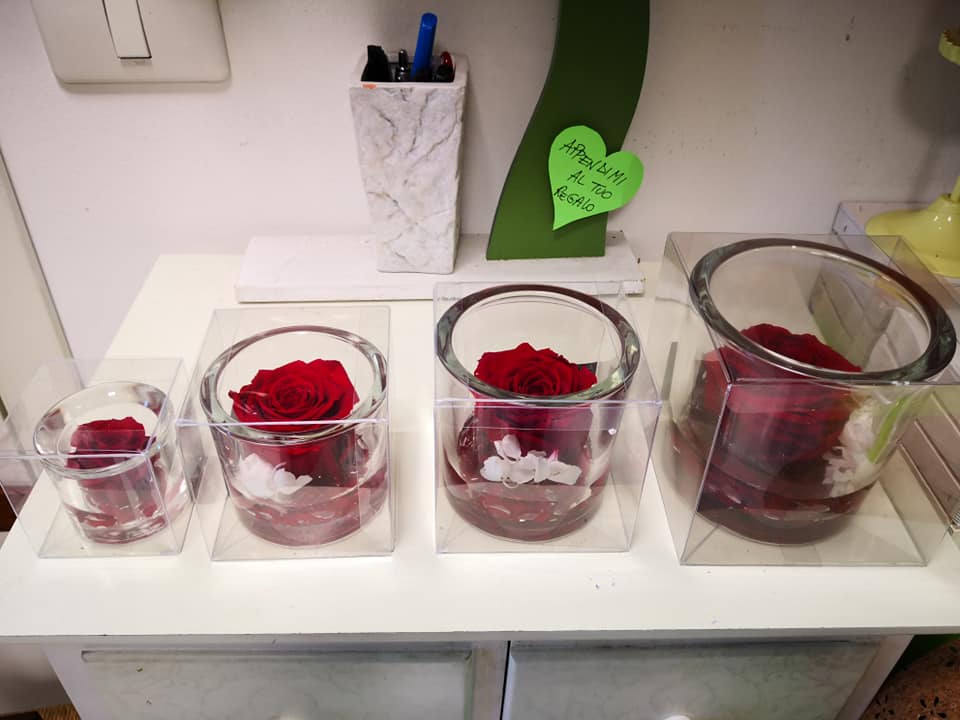 rose stabilizzate varie misure