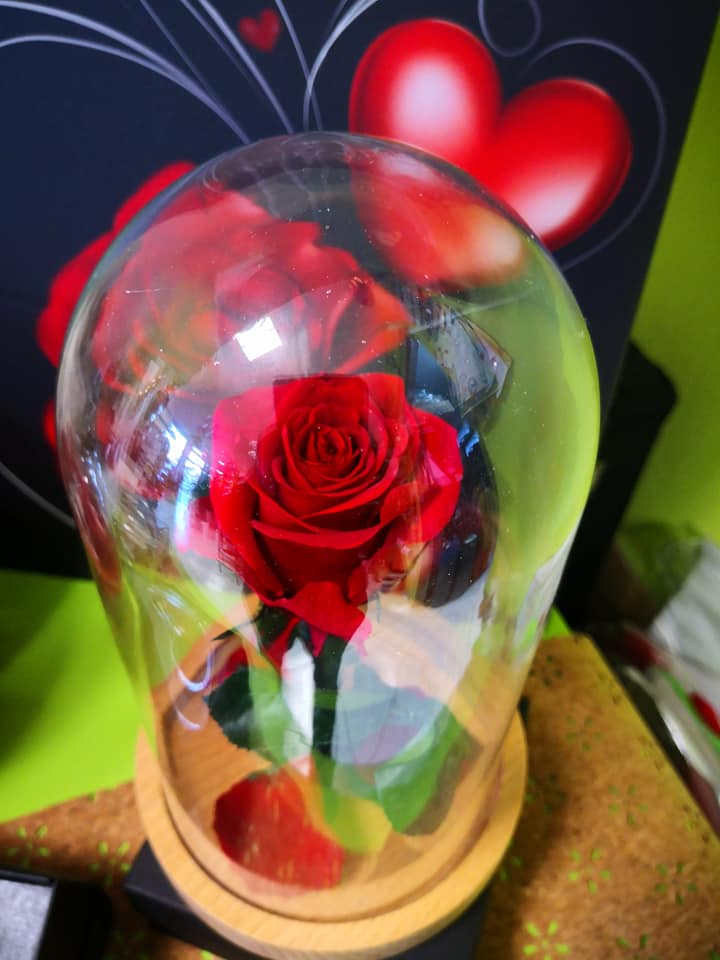 rosa rossa stabilizzata