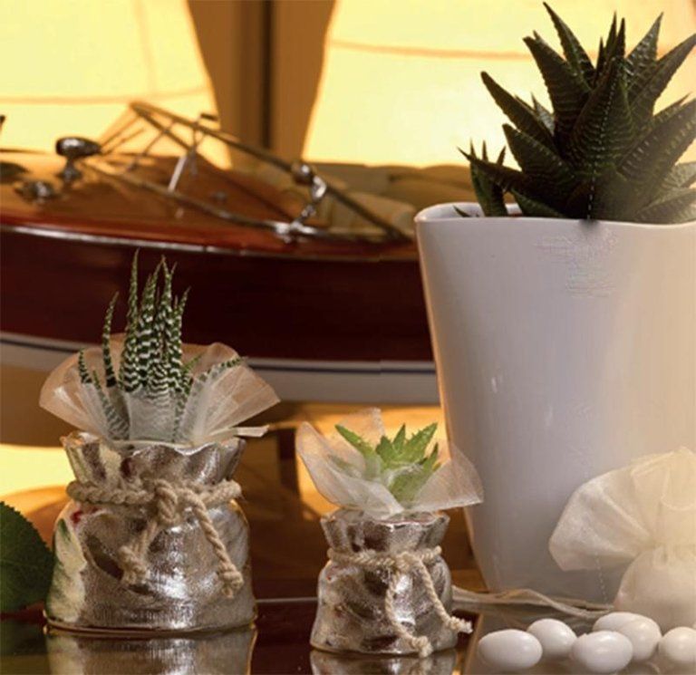 Bagutta piantine naturali