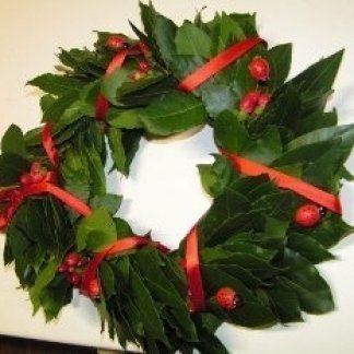 coroncine d'alloro per laurea