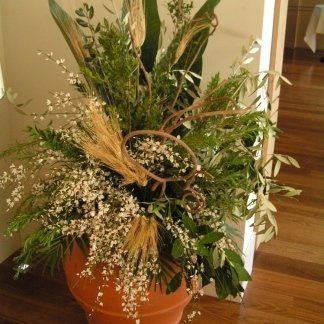 Composizioni floreali in vaso