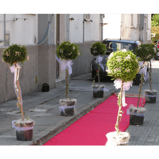 Addobbo floreale per esterno