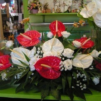 Composizione con anthurium rossi e bianchi