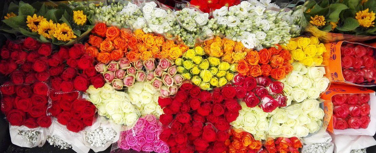 fioraio pensieri fioriti pescara