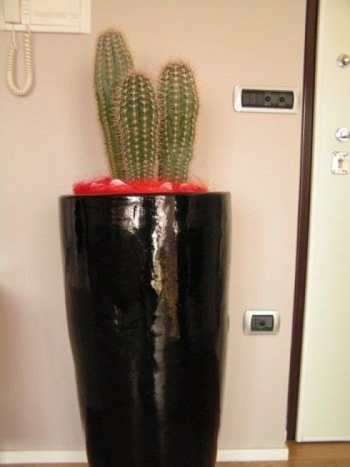 allestimento floreale a domicilio pescara