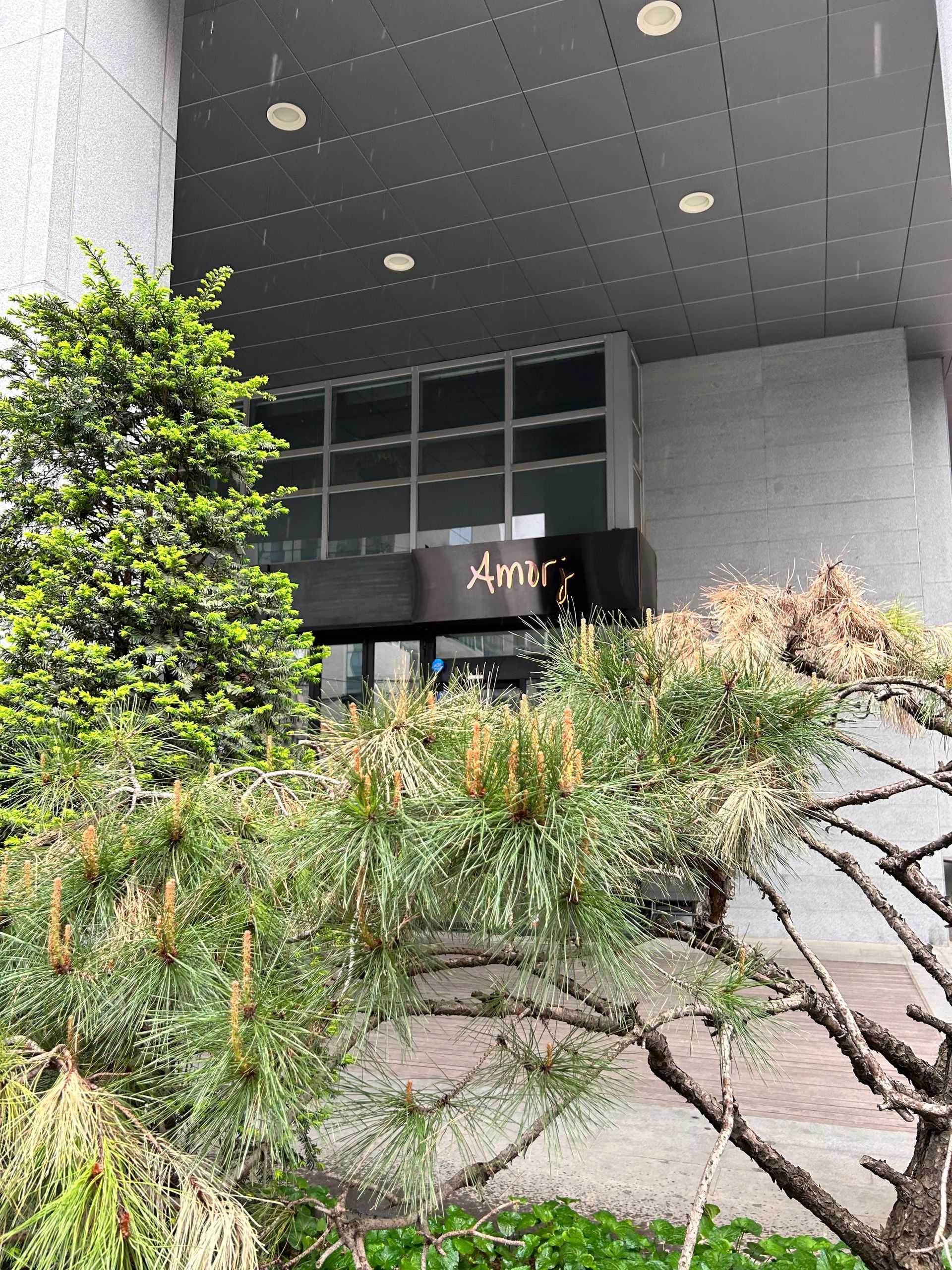 Entrance to a building with a dark awning and gold lettering above the glass doors, framed by green trees.
