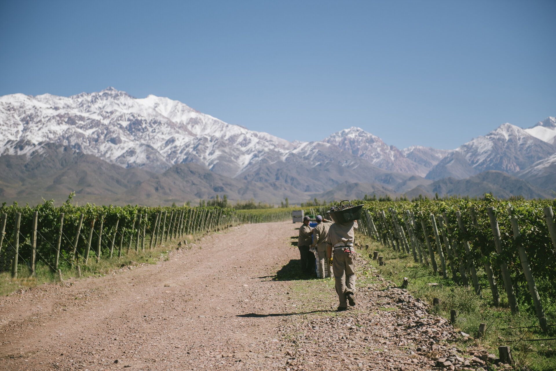 ONE CLICK TRAVEL - Turismo en Mendoza