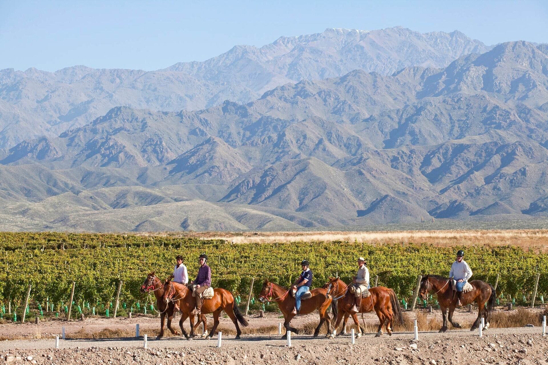 ONE CLICK TRAVEL - Turismo en Mendoza