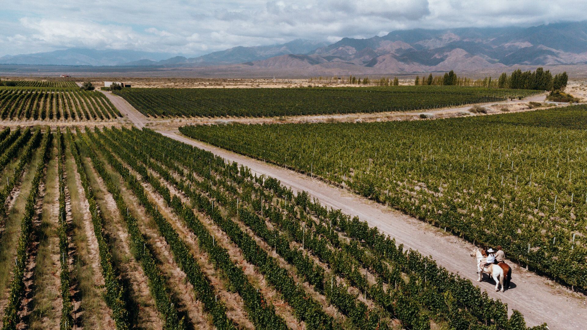 ONE CLICK TRAVEL - Turismo en Mendoza