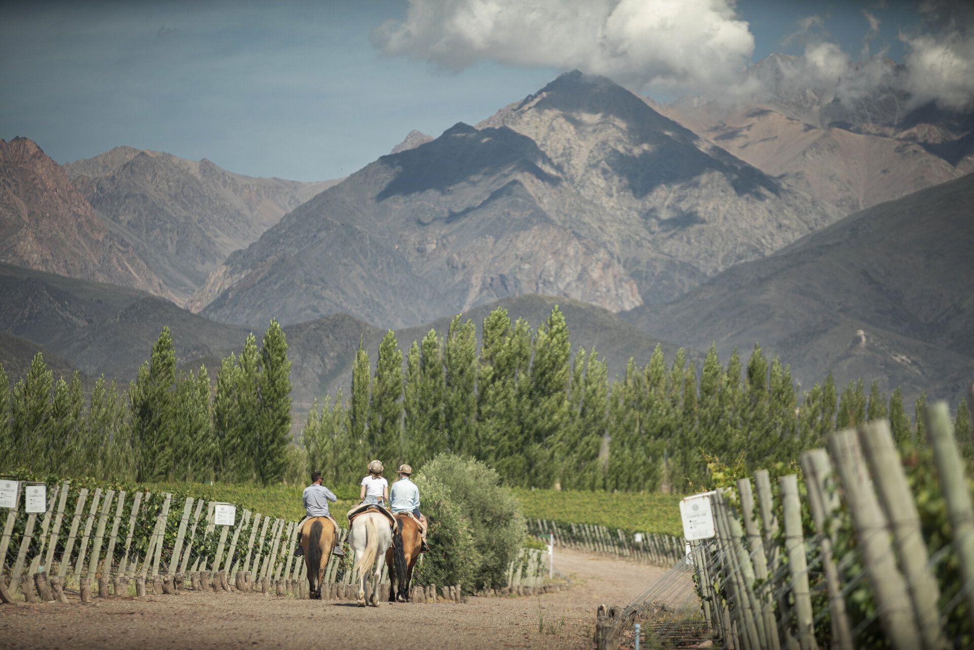 ONE CLICK TRAVEL - Turismo en Mendoza