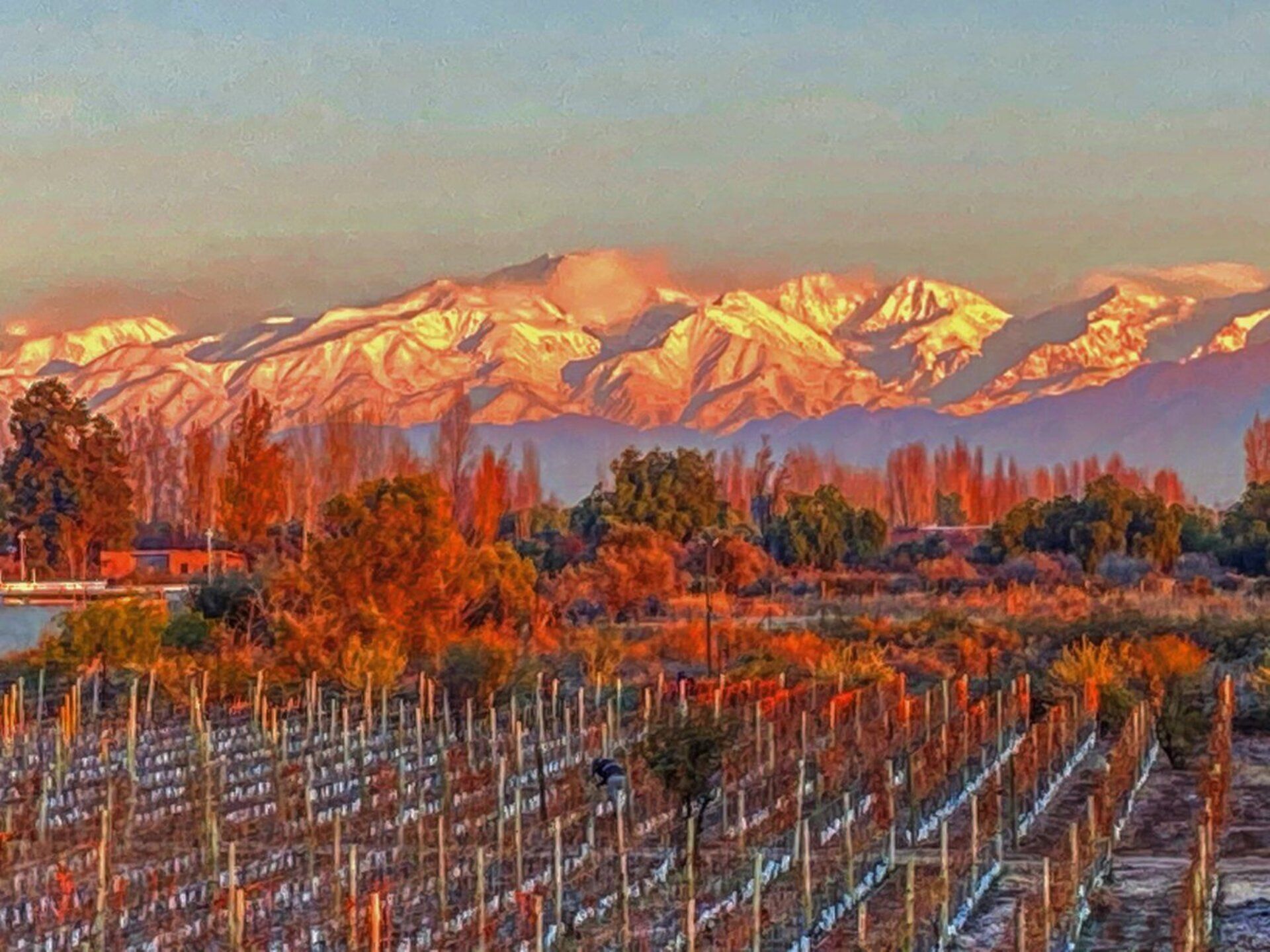 ONE CLICK TRAVEL - Turismo en Mendoza