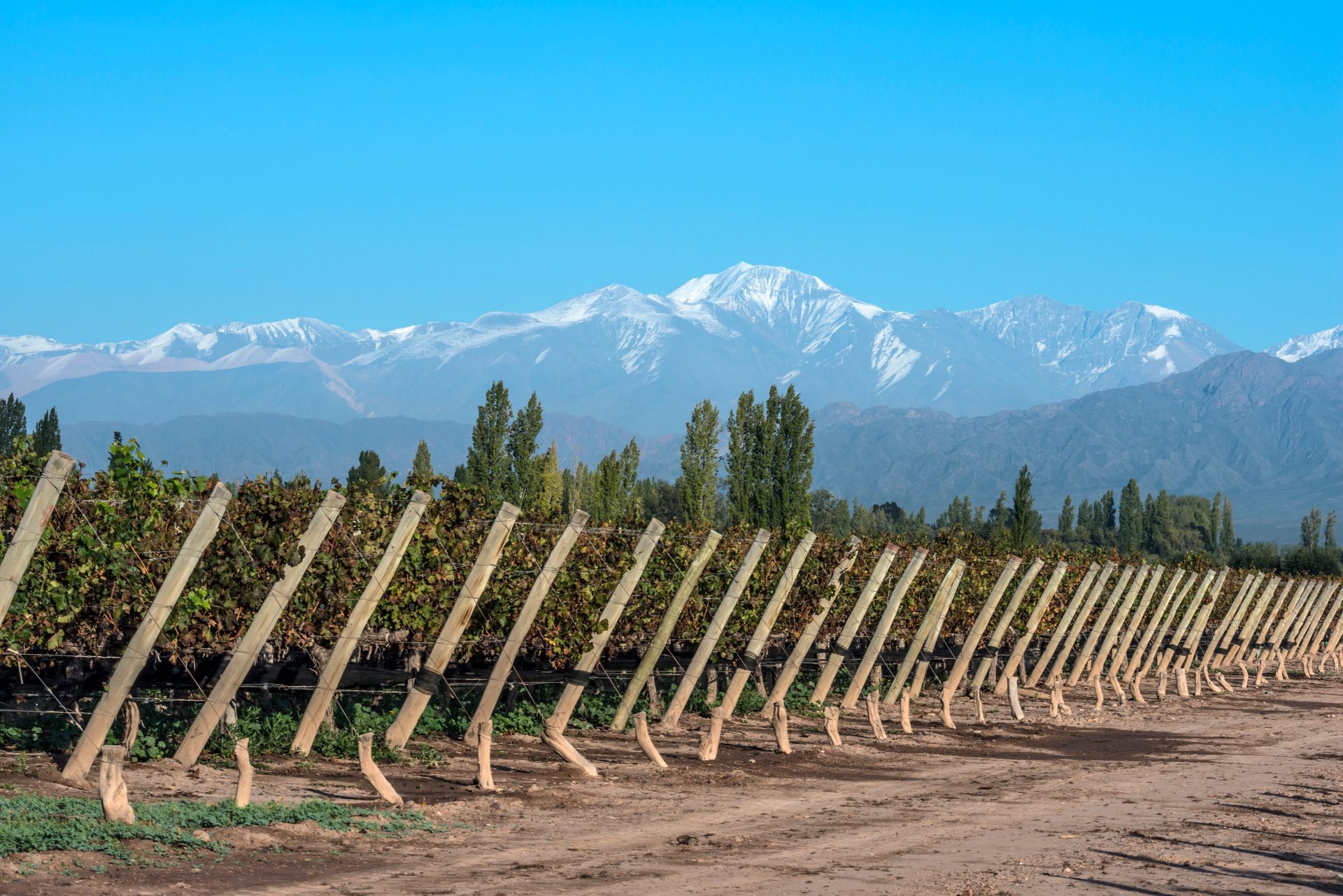 ONE CLICK TRAVEL - Turismo en Mendoza