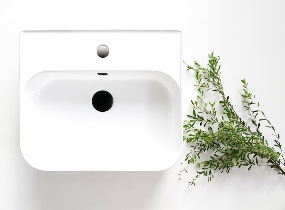 White Bathroom Sink With Plants On The Side — Coffs Coast Designer Bathrooms in Toormina, NSW