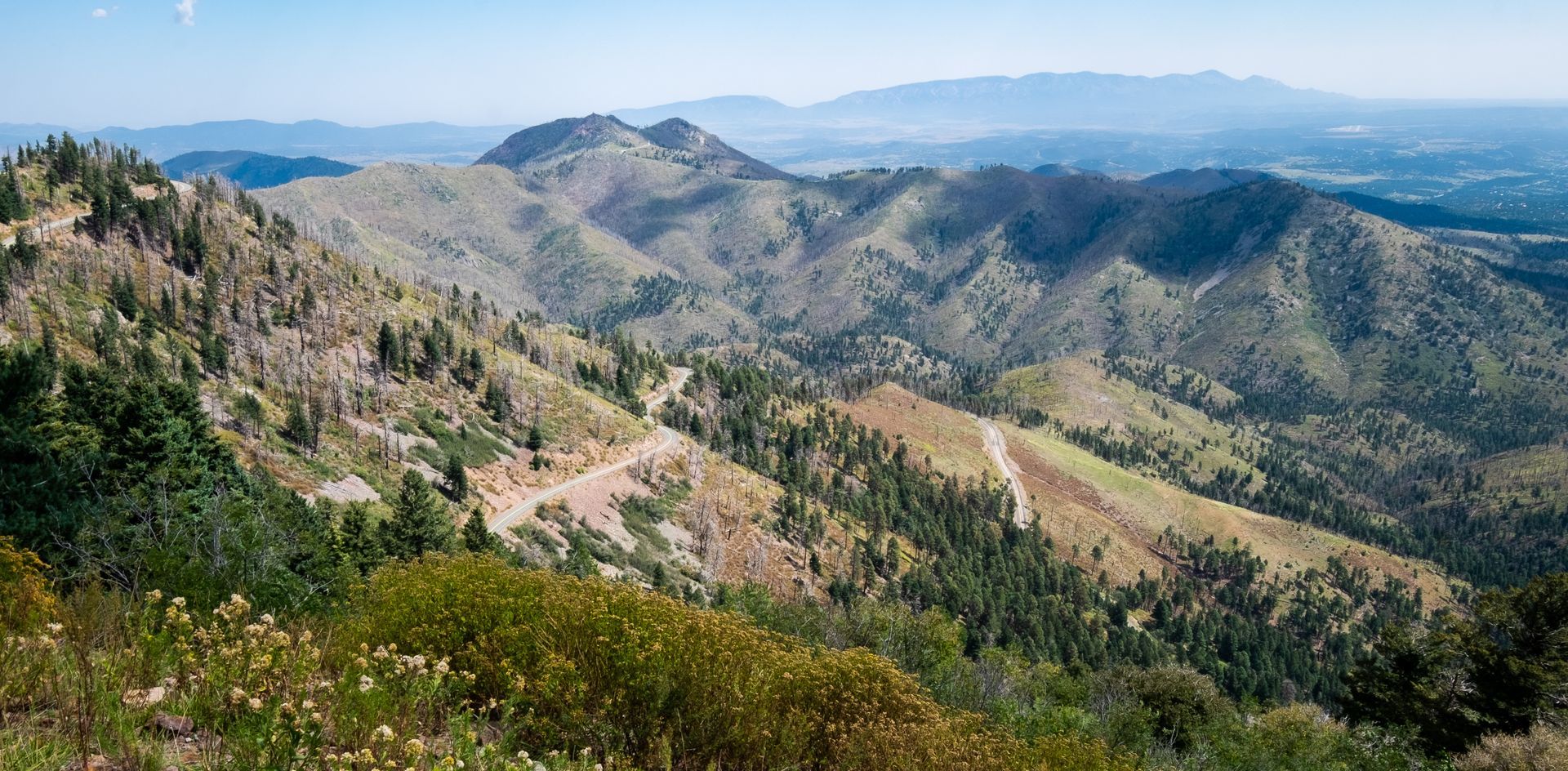 A vast mountain landscape with rolling hills and patches of trees under a clear blue sky.
