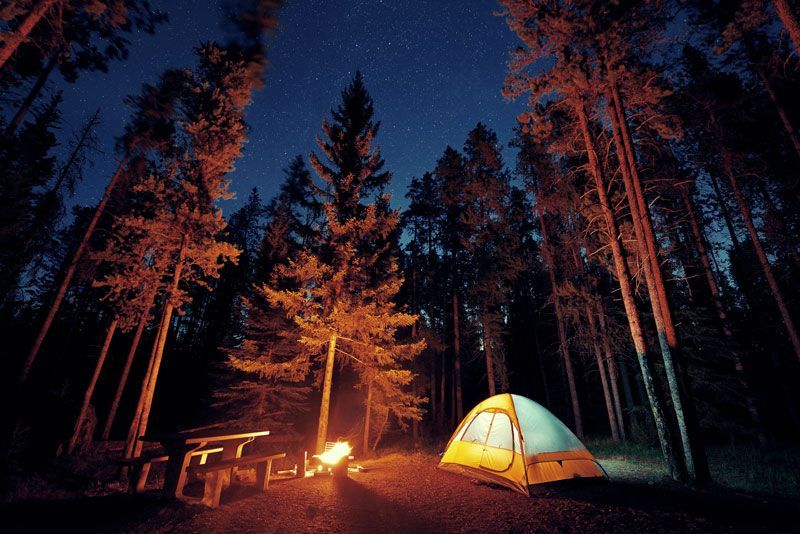 A tent is lit up in the middle of a forest at night