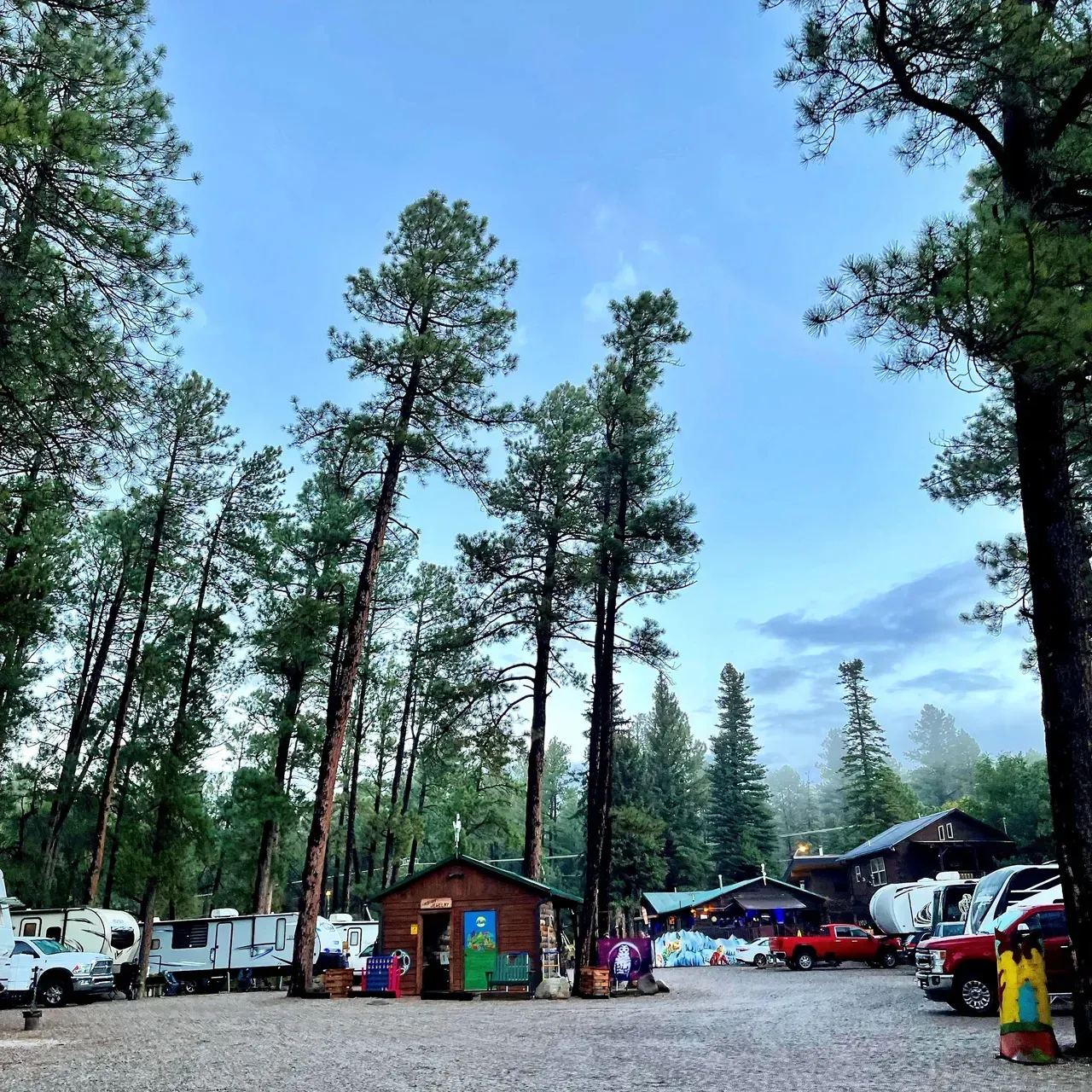 A lot of vehicles are parked in a parking lot with trees in the background