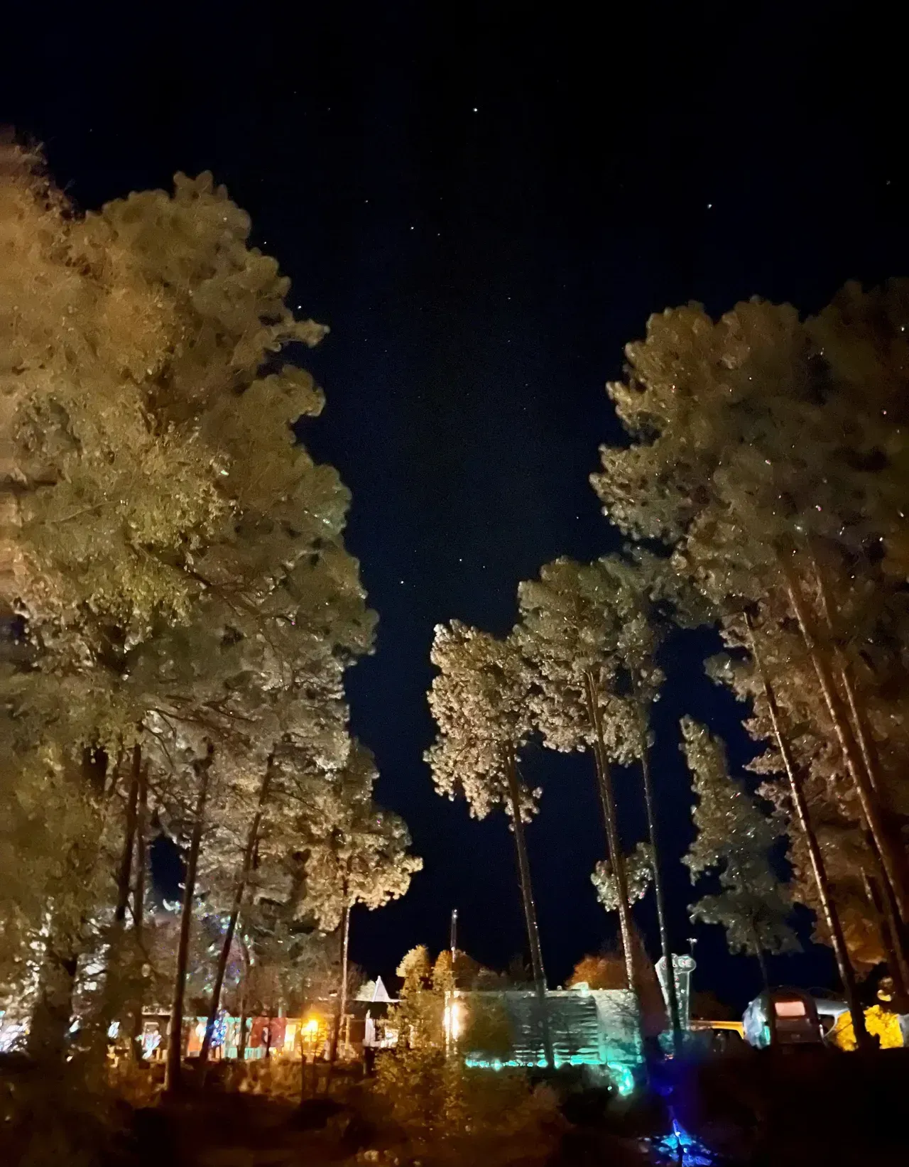 A row of trees are lit up at night with a house in the background