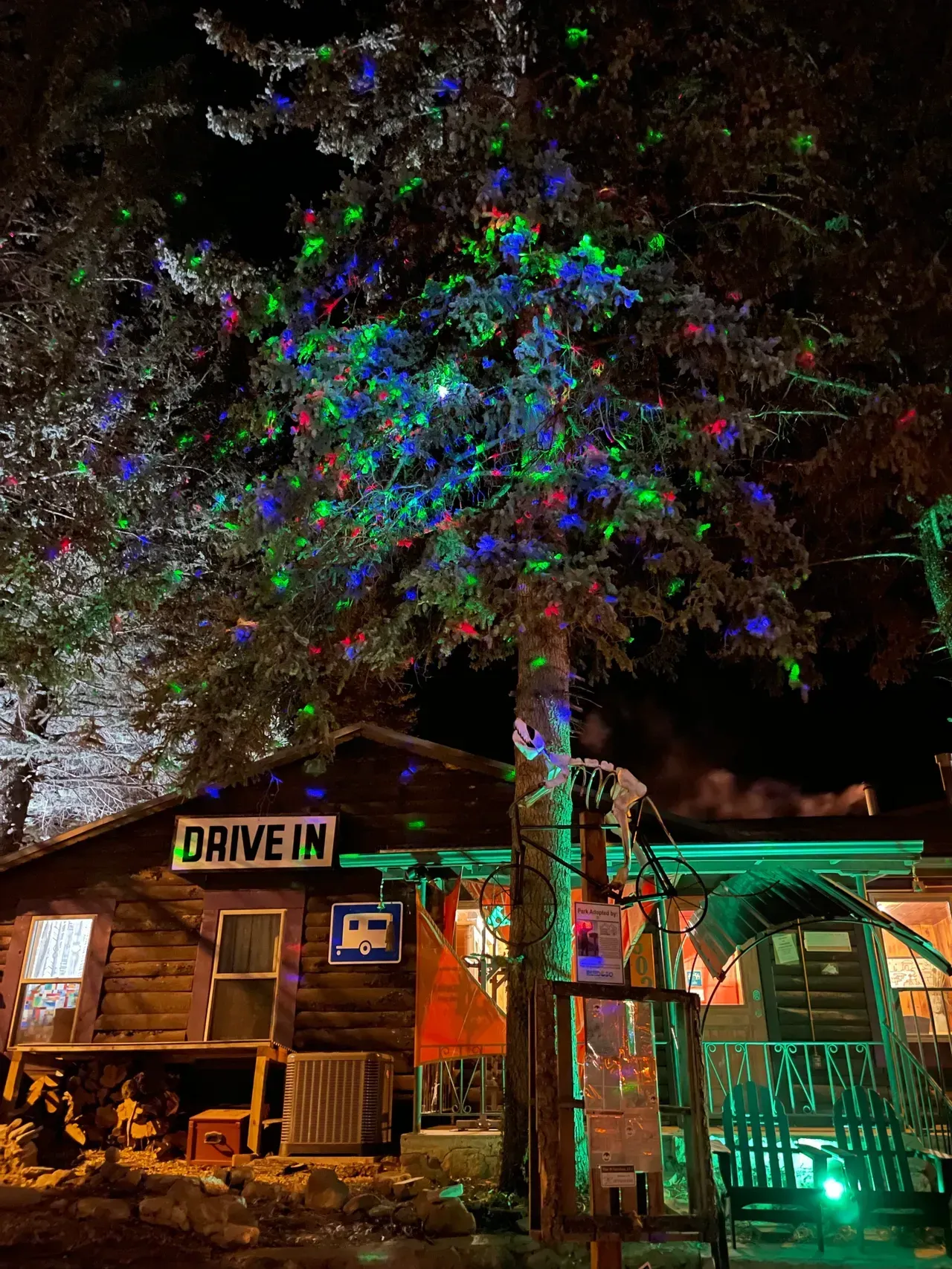 A tree with christmas lights on it is in front of a drive in.