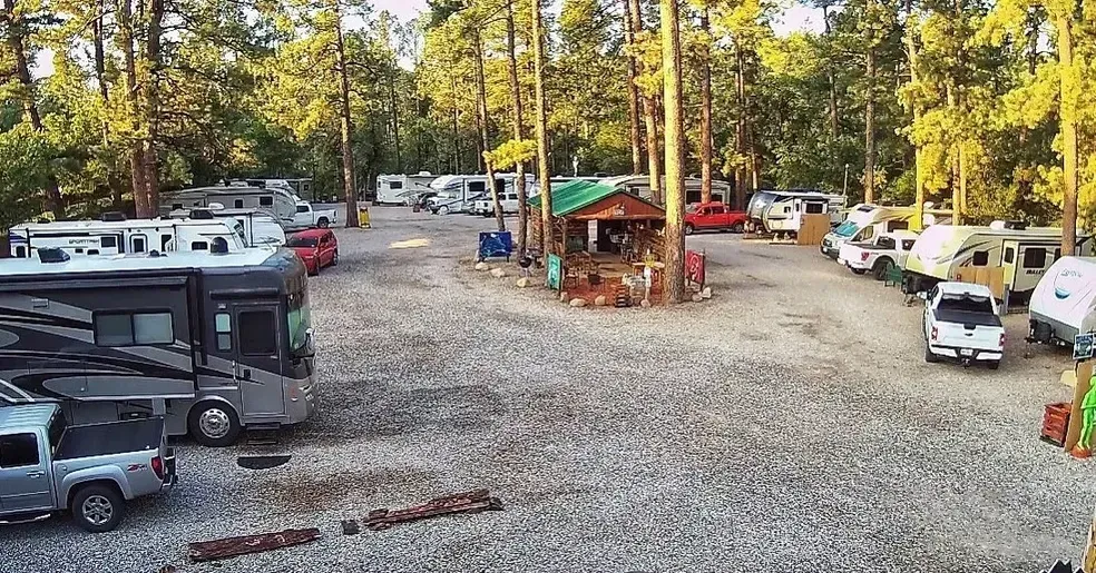 A lot of rvs are parked in a gravel lot surrounded by trees.