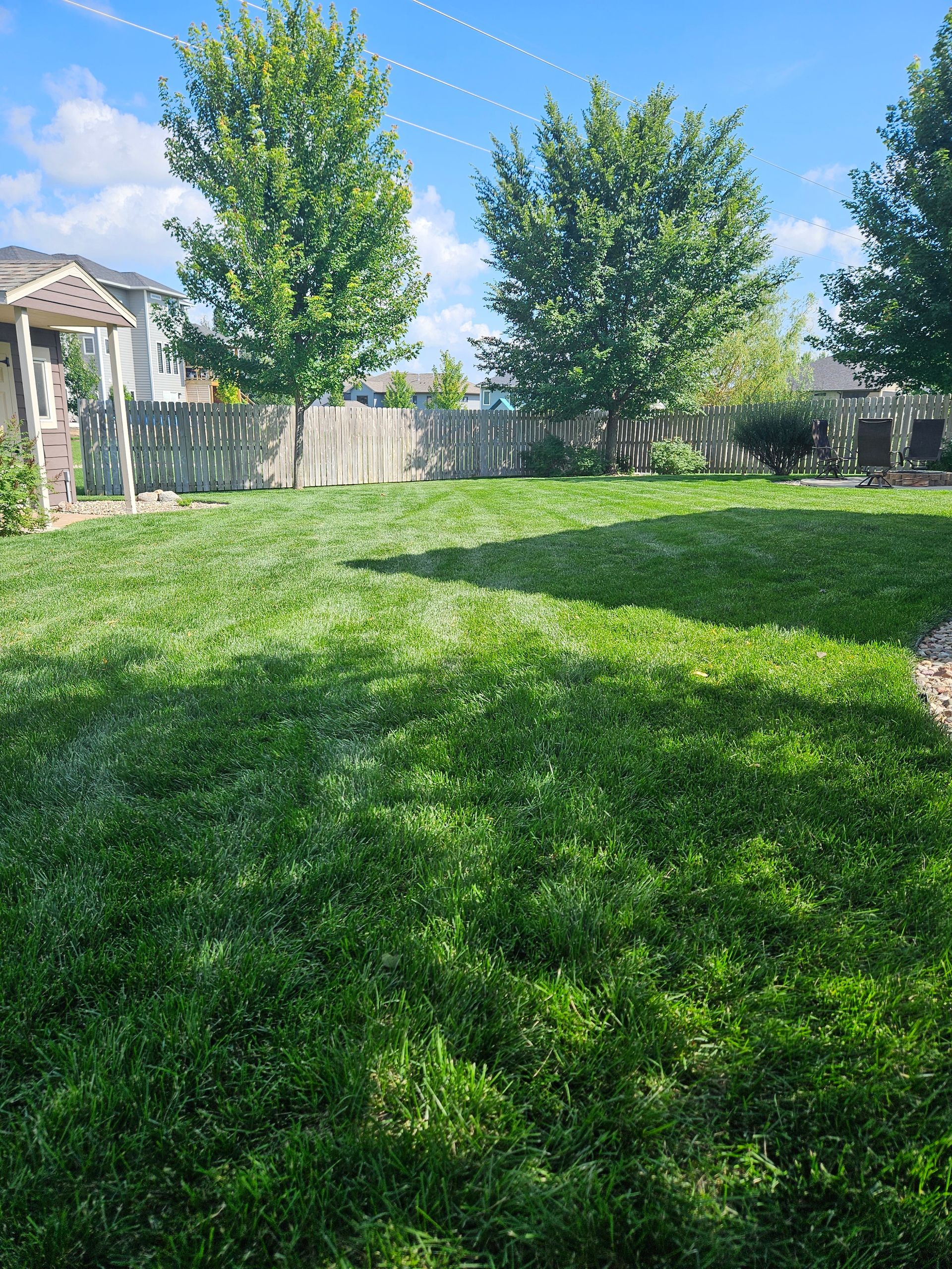 Green backyard with trees, fence, and a partially cloudy blue sky.