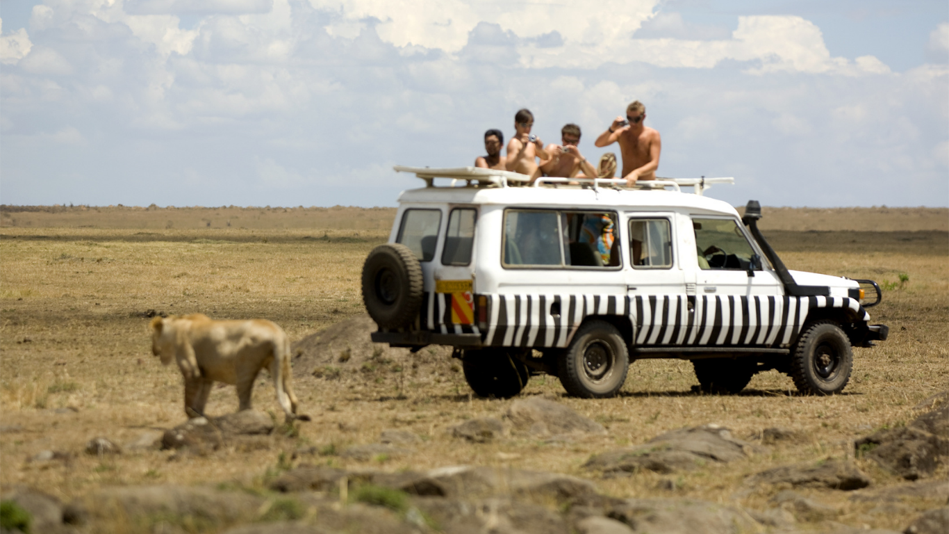 A giraffe is standing on the side of a dirt road next to a jeep.
