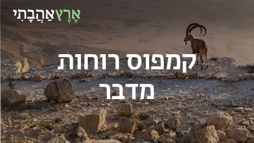 קמפוס מדבר - החברה להגנת הטבע קמפוס מדבר - החברה להגנת הטבע