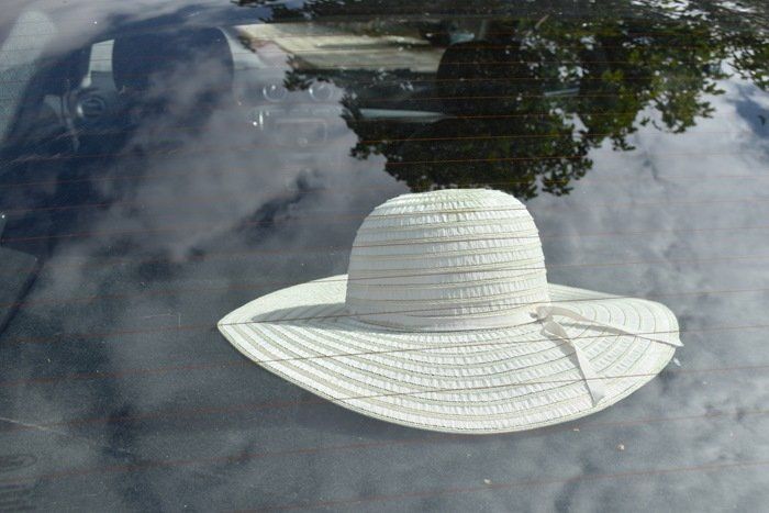 דובי לזר - צילום אומנותי