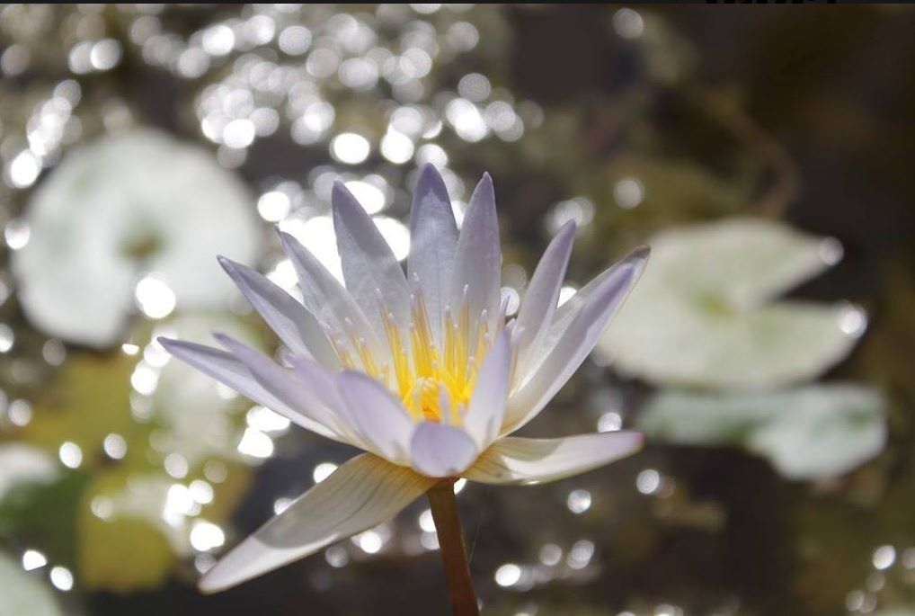 פוקוס - קורסי צילום למתחילים ולמתקדמים