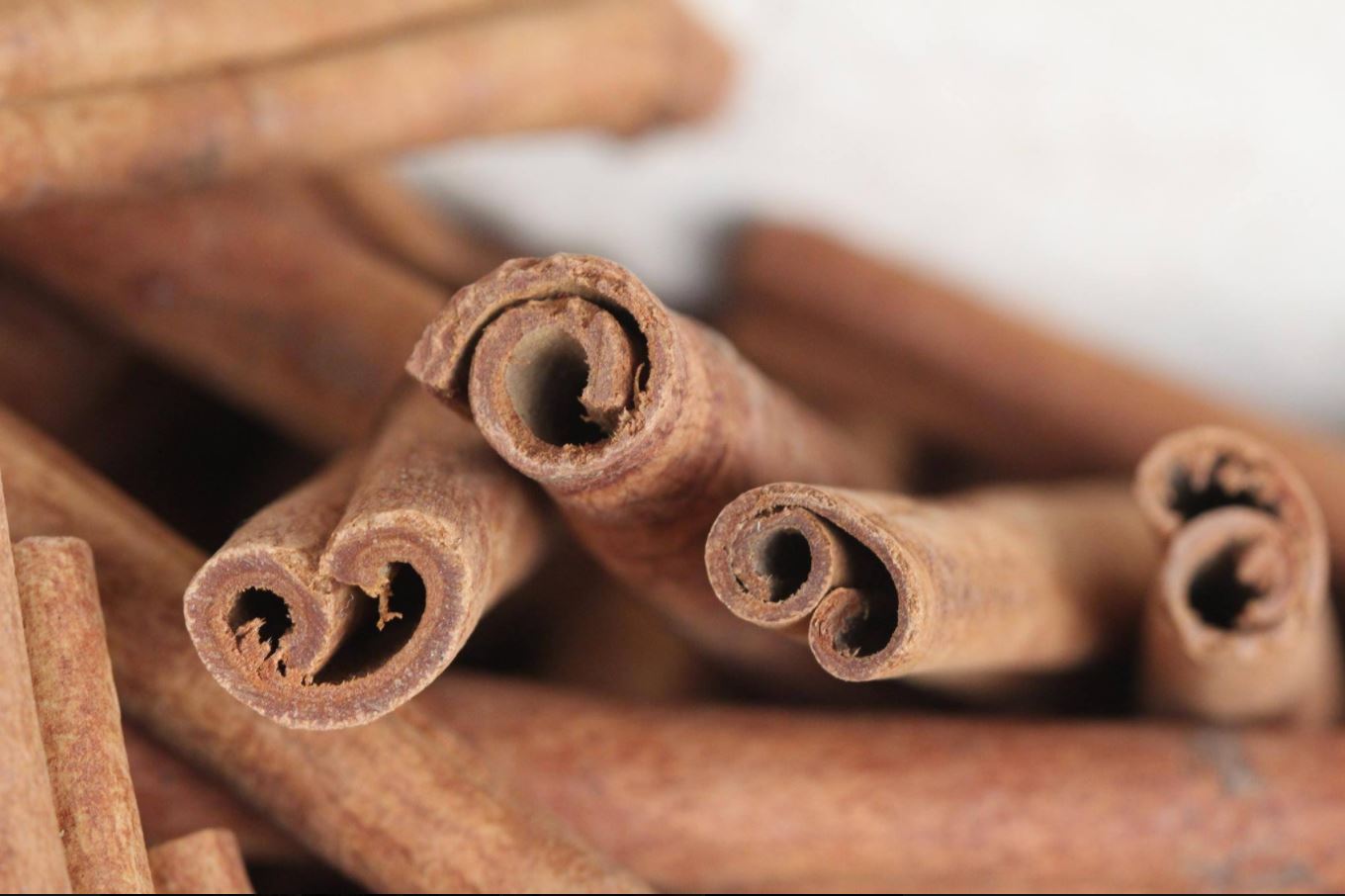 קורס צילום פוקוס - צילום אומנותי