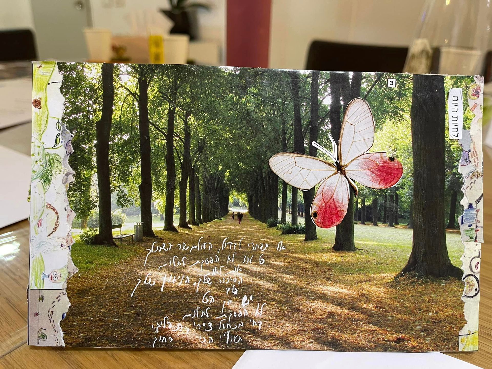 ציפי גכט - מיקס מדיה תרפי