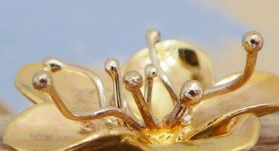 חלום צרוף - קורסי צורפות במודיעין