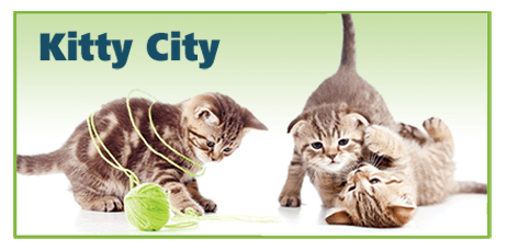 Kitty City - past event