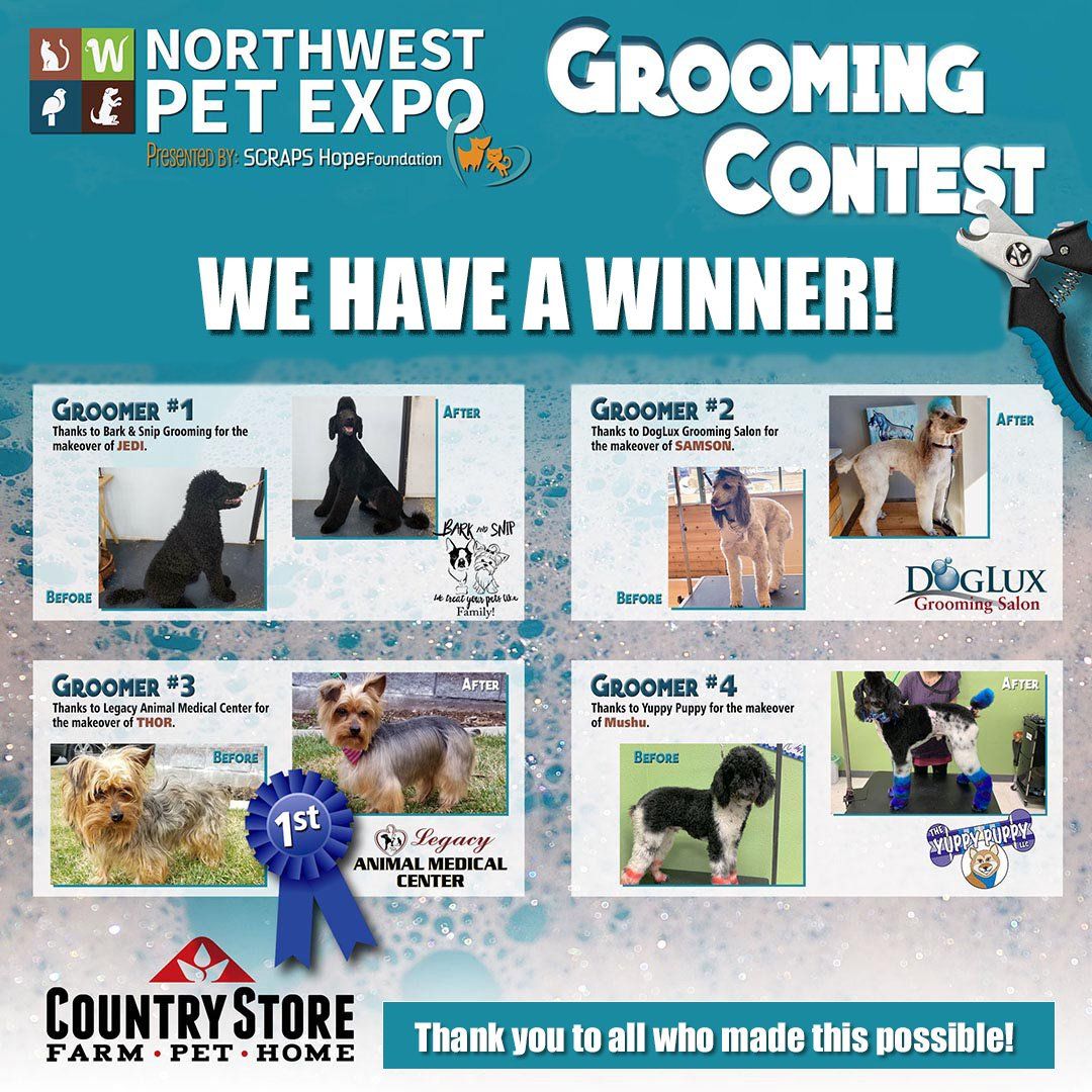 grooming contest