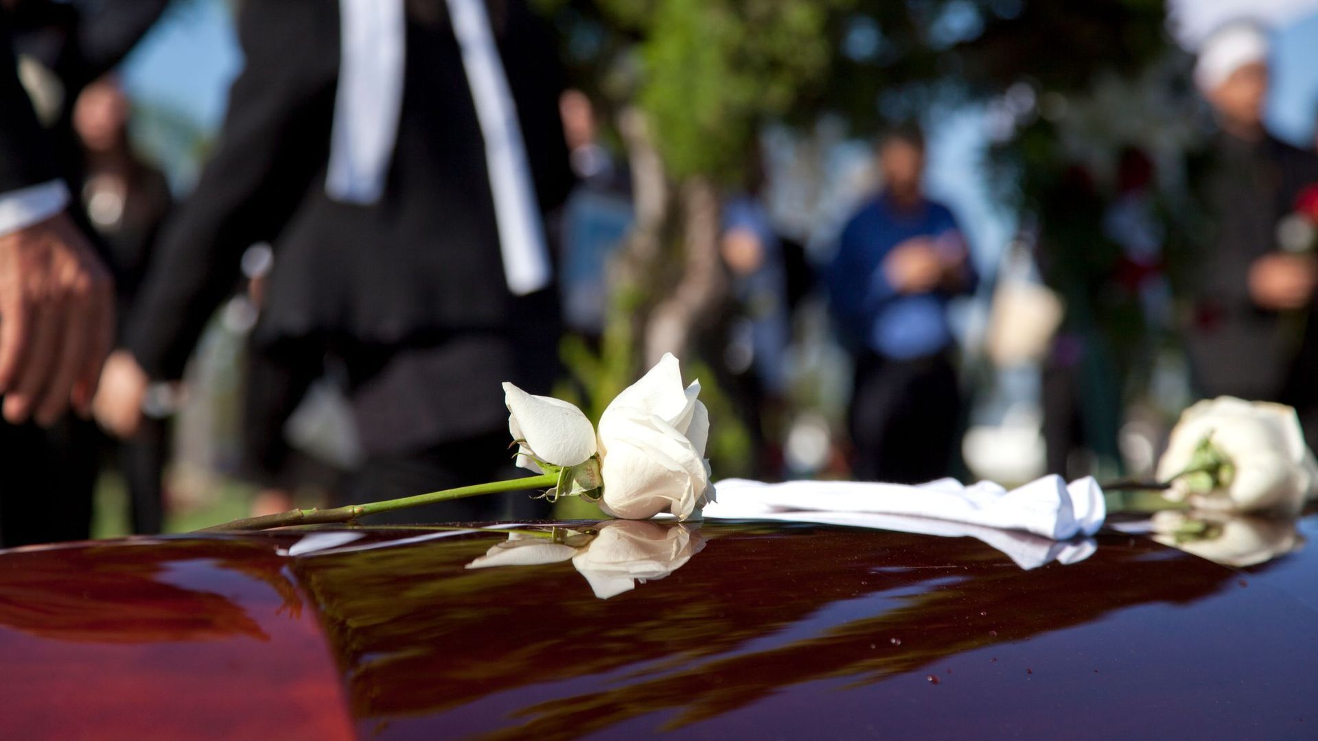 White rose resting on top of a casket at a funeral with people in the background