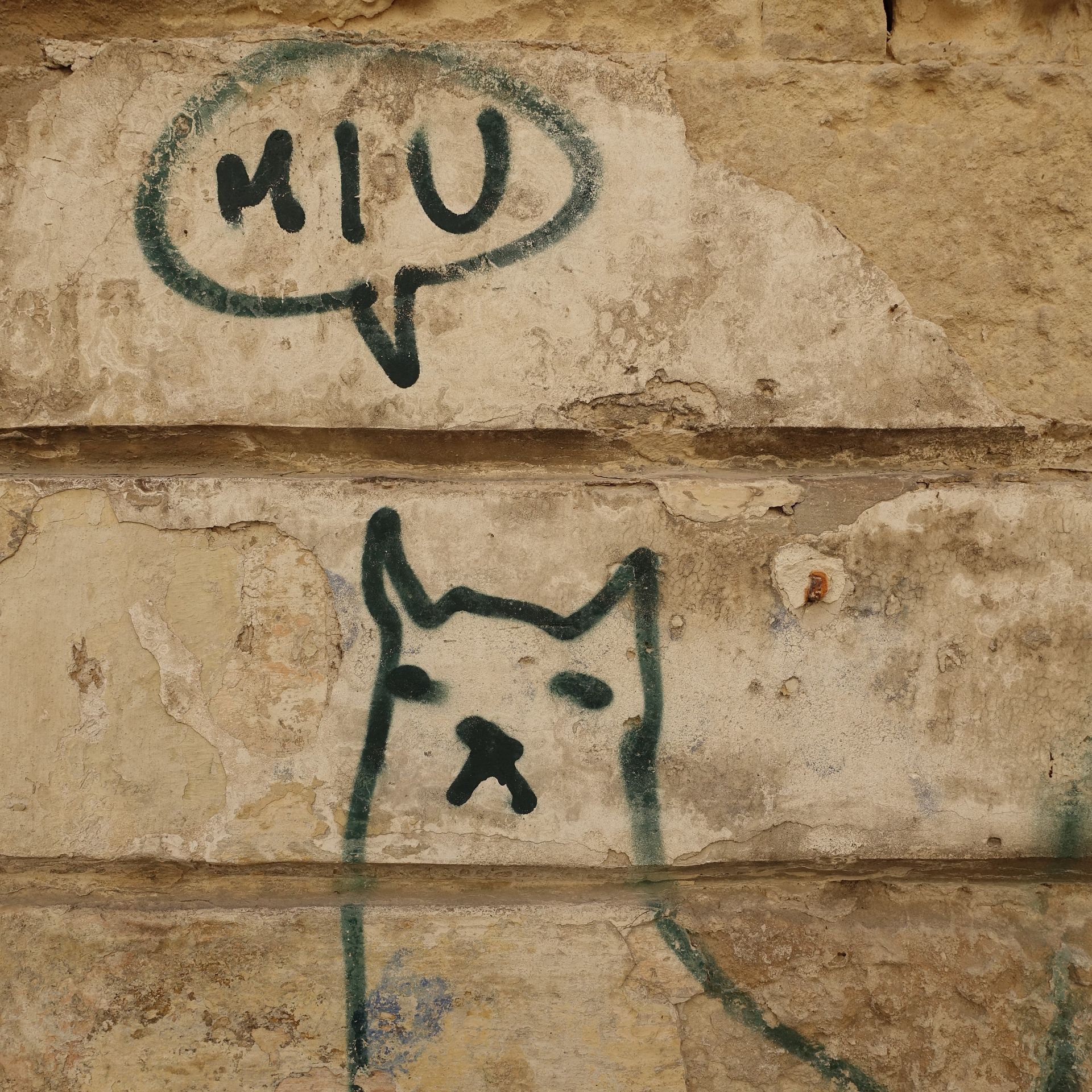 Miu, Foto ©Thomas Lehrmann