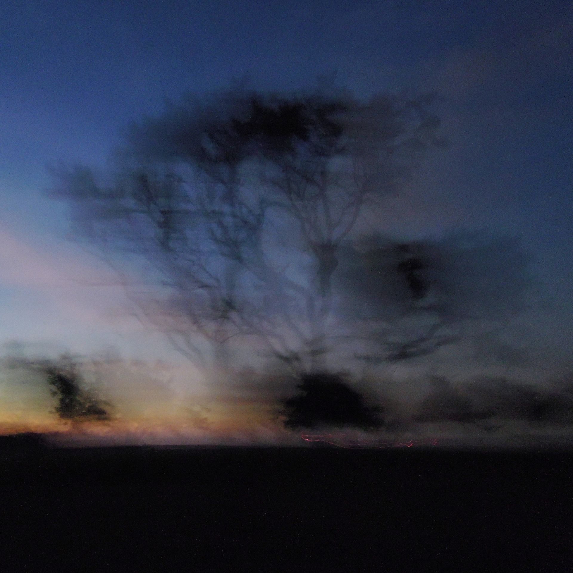 Bäume I Uengershausen, Foto ©Thomas Lehrmann