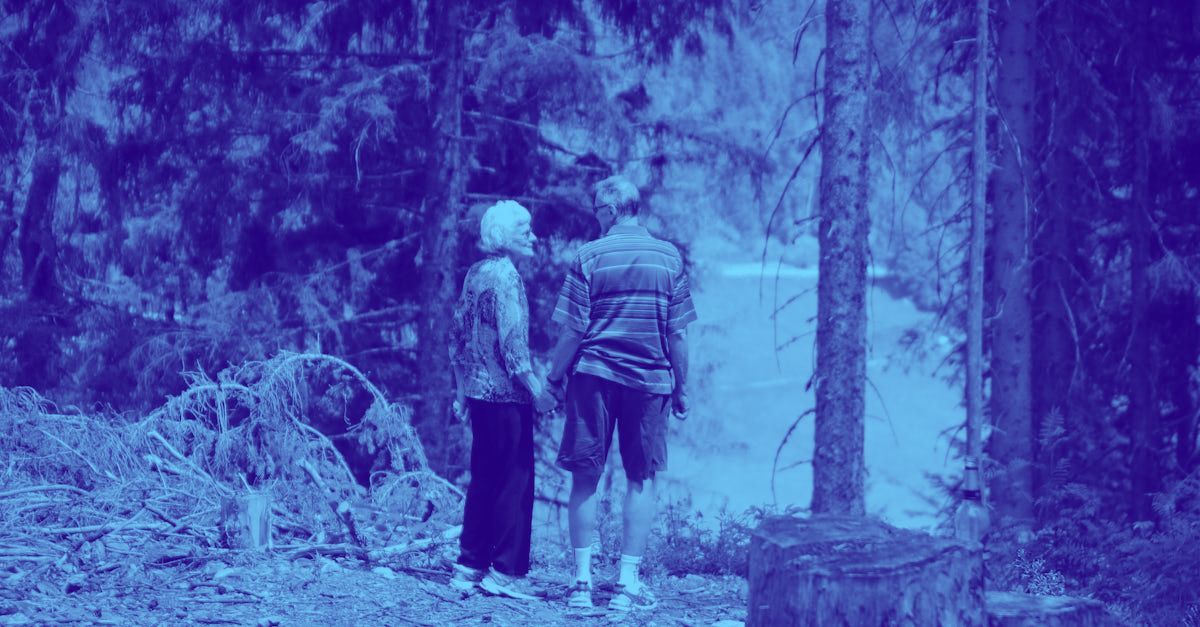 A man and a woman are standing in the woods holding hands.