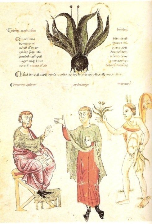 medicina tradizionale cinese