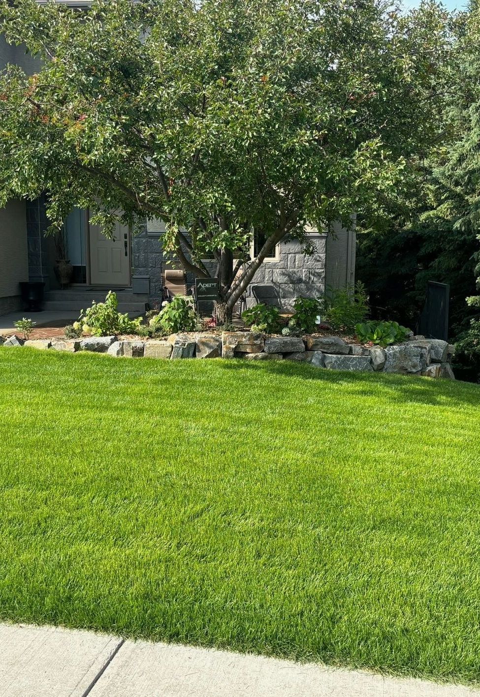 a sprinkler spraying water in a garden with a bench in the background