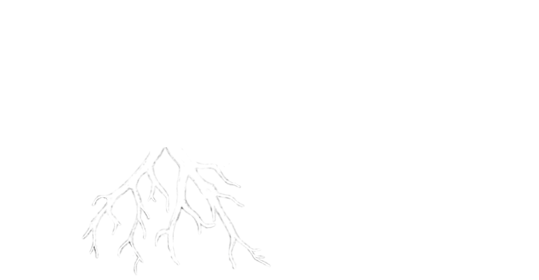 Adept Landscape and Construction Inc. Business Logo