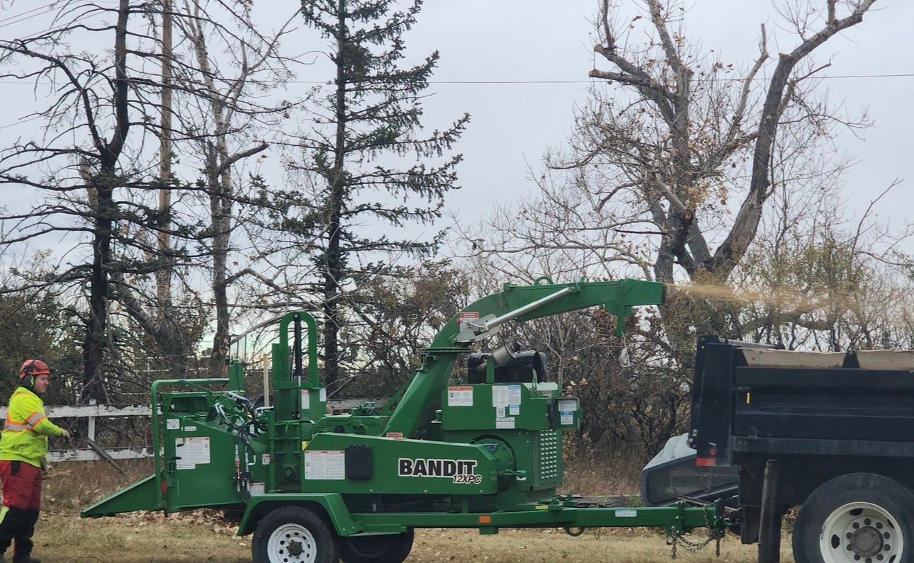 Arborist company in Calgary