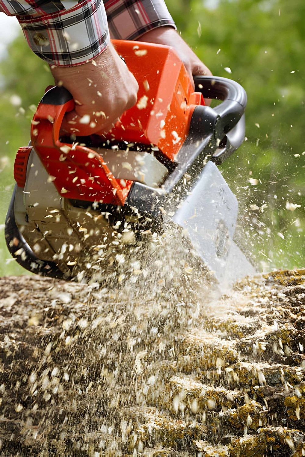 Tree Removal in Calgary, AB