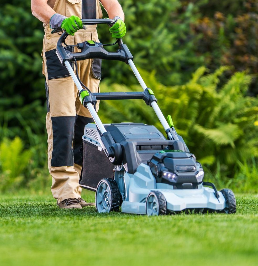 Gardener is trimming grass lawn using modern electric cordless mower