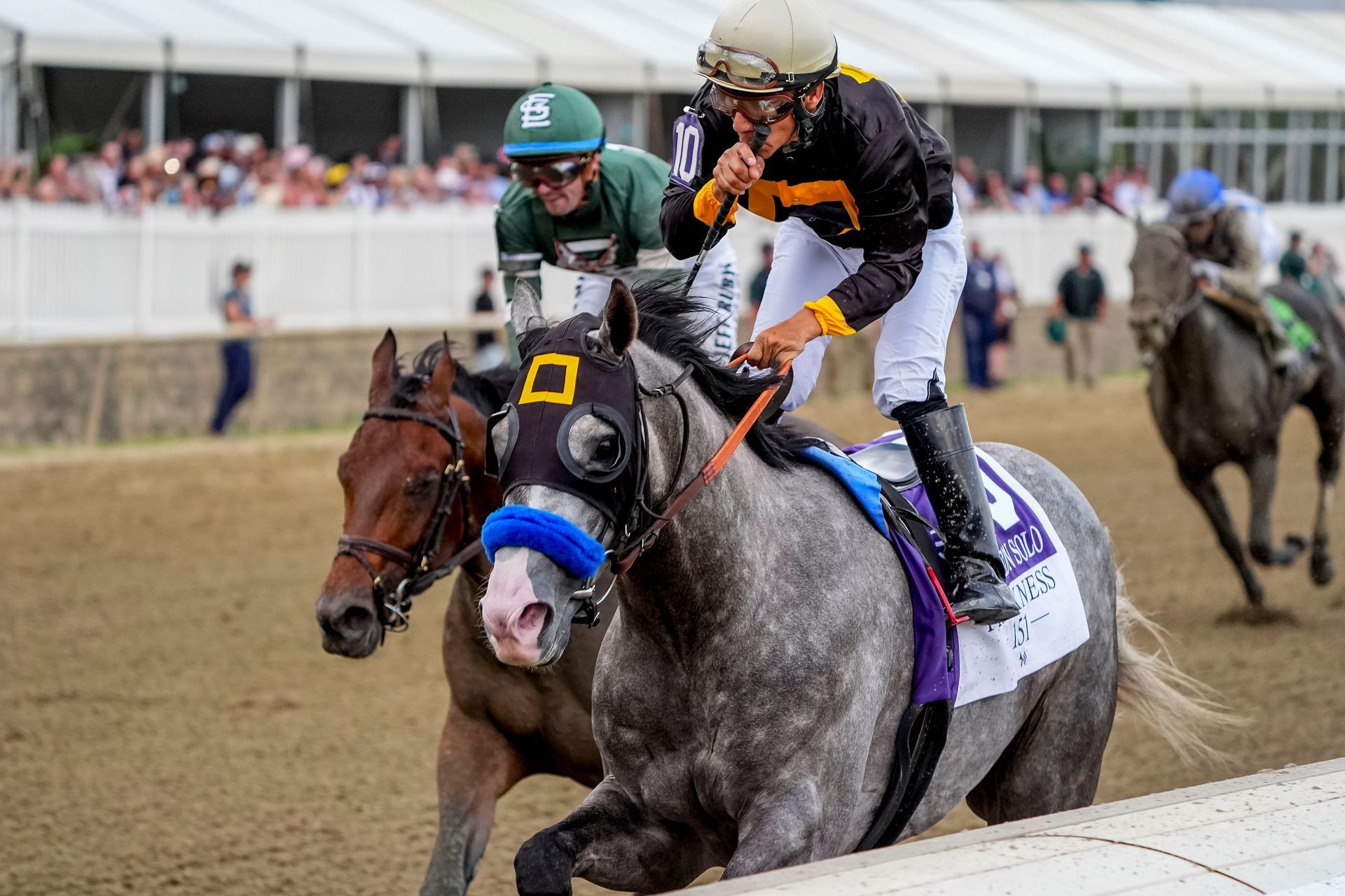 Napoleon Solo Wins the Preakness at Laurel Park, plus all the other big ...