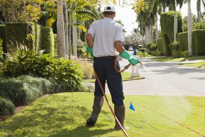 Exterminator — Pest Control Worker Spraying Pesticide in Ellenton, FL