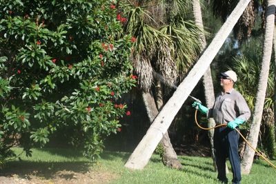 Pest Services — Exterminator Spraying On Plants in Ellenton, FL